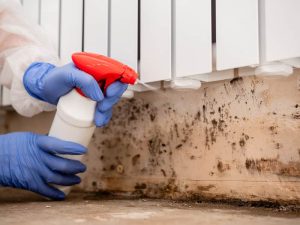 Mold Remediation in Columbus OH